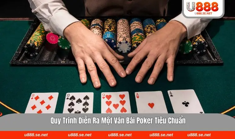 Các tay bài từ thùng phá sảnh cho đến mậu thầu