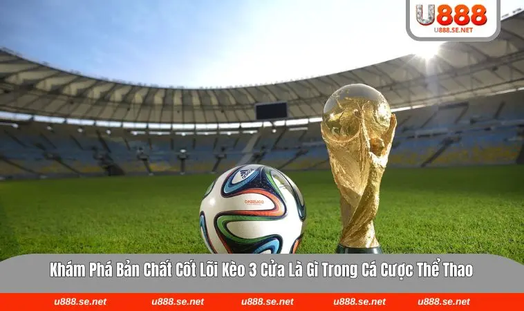 Hiển thị bảng kèo chi tiết cho người chơi hiểu rõ