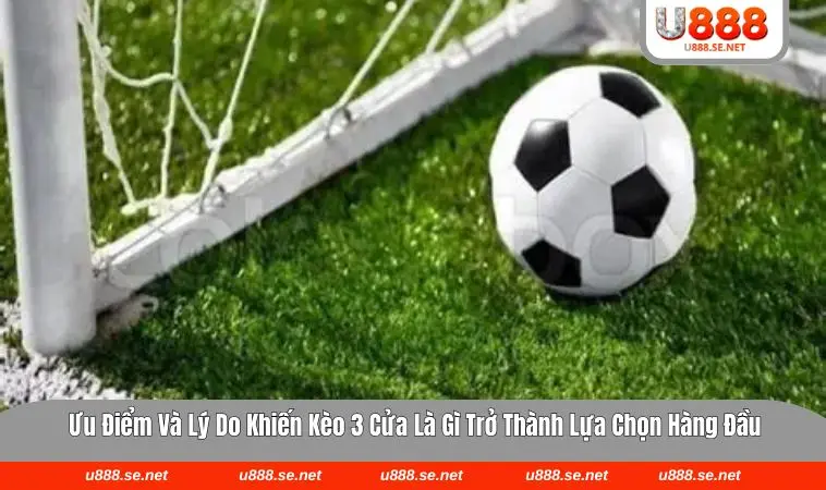 Phân tích xác suất thắng thua dựa trên dữ liệu thực tế