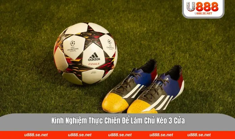 Sơ đồ quản lý vốn chuyên nghiệp