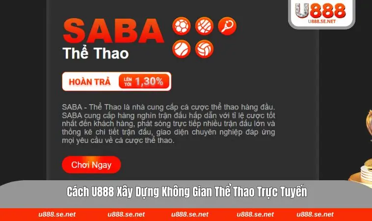 Giao diện chuyên mục thể thao hiện đại & thông minh 