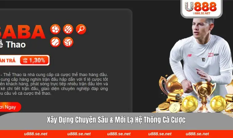Không gian theo dõi thể thao mạch lạc 