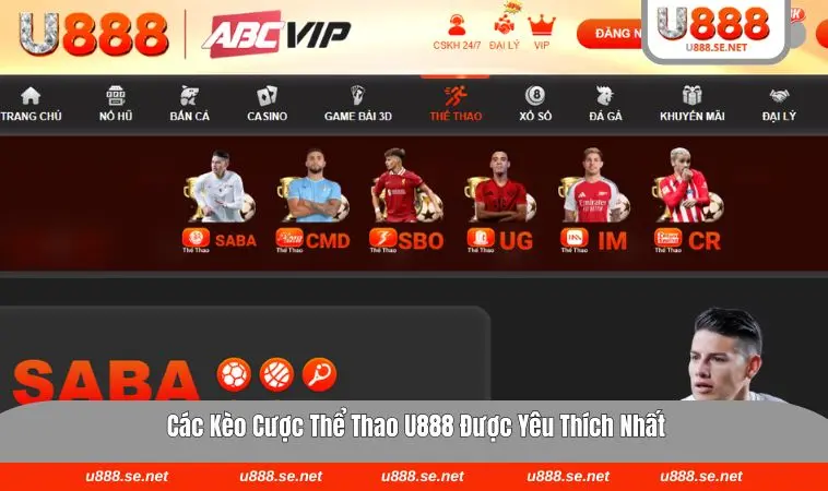 Danh mục thể thao đa dạng trên nền tảng U888